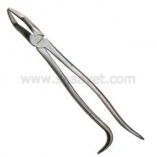 Wolf Tooth Forceps