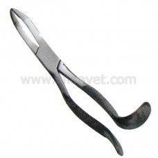 Wolf Tooth Forceps