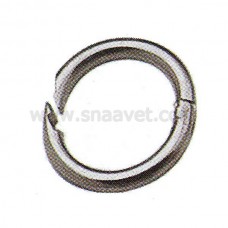 Nose Ring